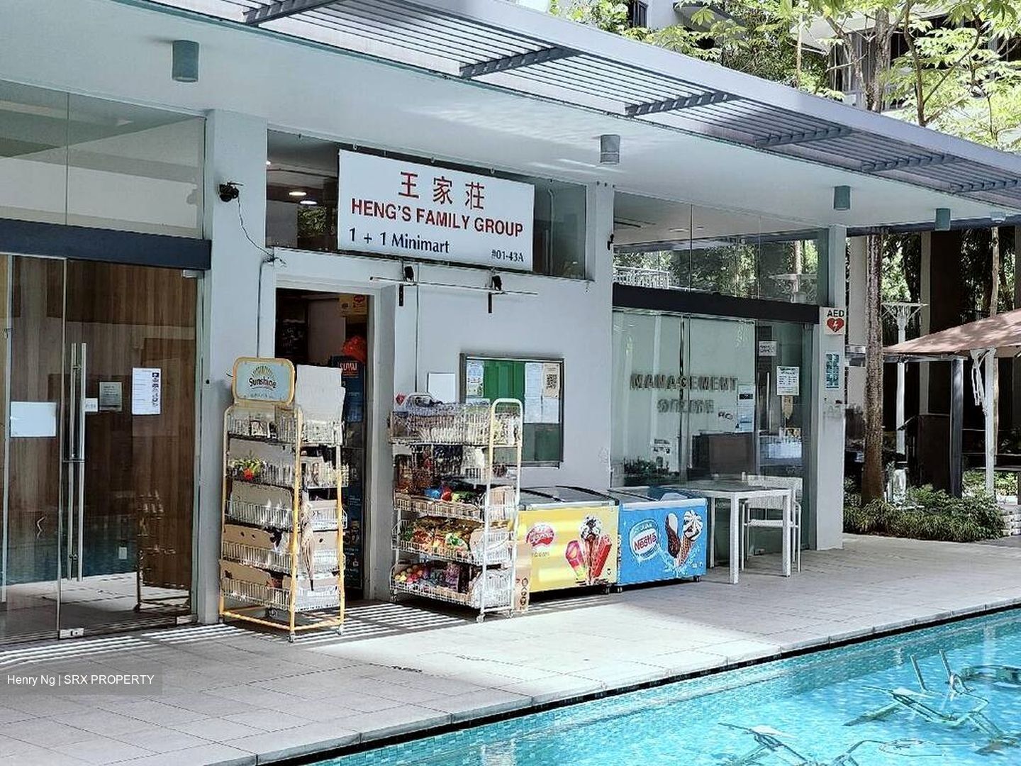 NV Residences (D18), Condominium #497415241